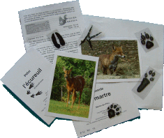 Contenu du jeu de piste empreintes d'animaux