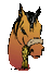 Un poney