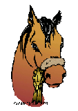 Un poney