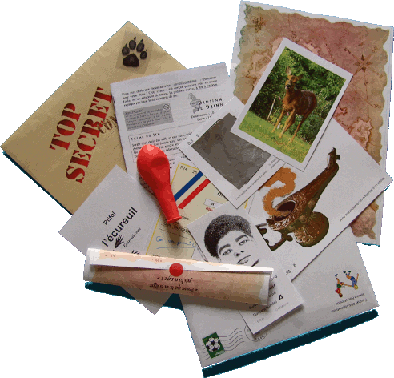 contenu des différents jeux et chasses au trésor