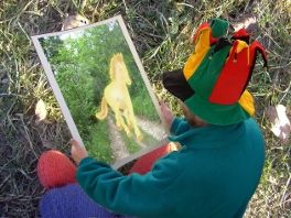 Un Lutin une image de poney