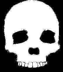Tête de mort thème pirate